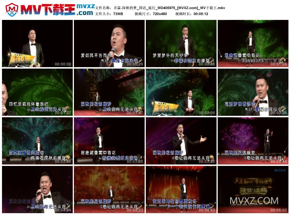 齐霖-深秋的梦_国语_流行_MD405975